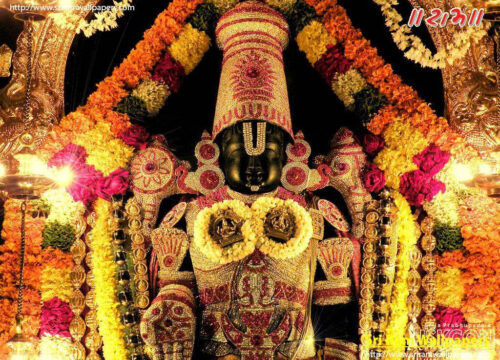 TIRUPATI SARVA FREE DARSHAN Package